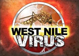 WestNileVirus