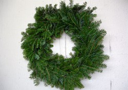 Felke_pine wreath