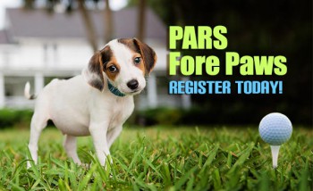 Pars for Paws_1