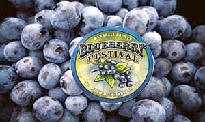 BlueberryFestival_with logo