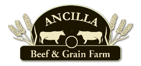 Ancilla Beef Farm