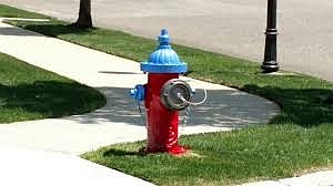Bremen fire hydrant colored top
