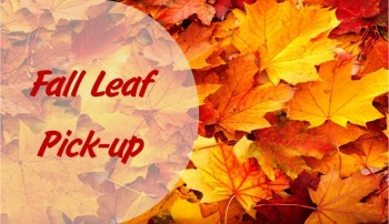Fall-Leaf-Collection